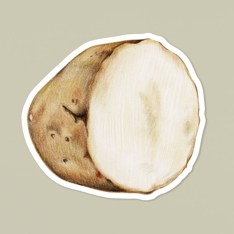 马铃薯贴纸psd有机植物插图