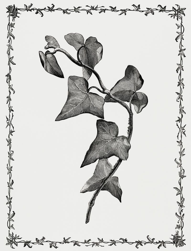 合同的复古插图