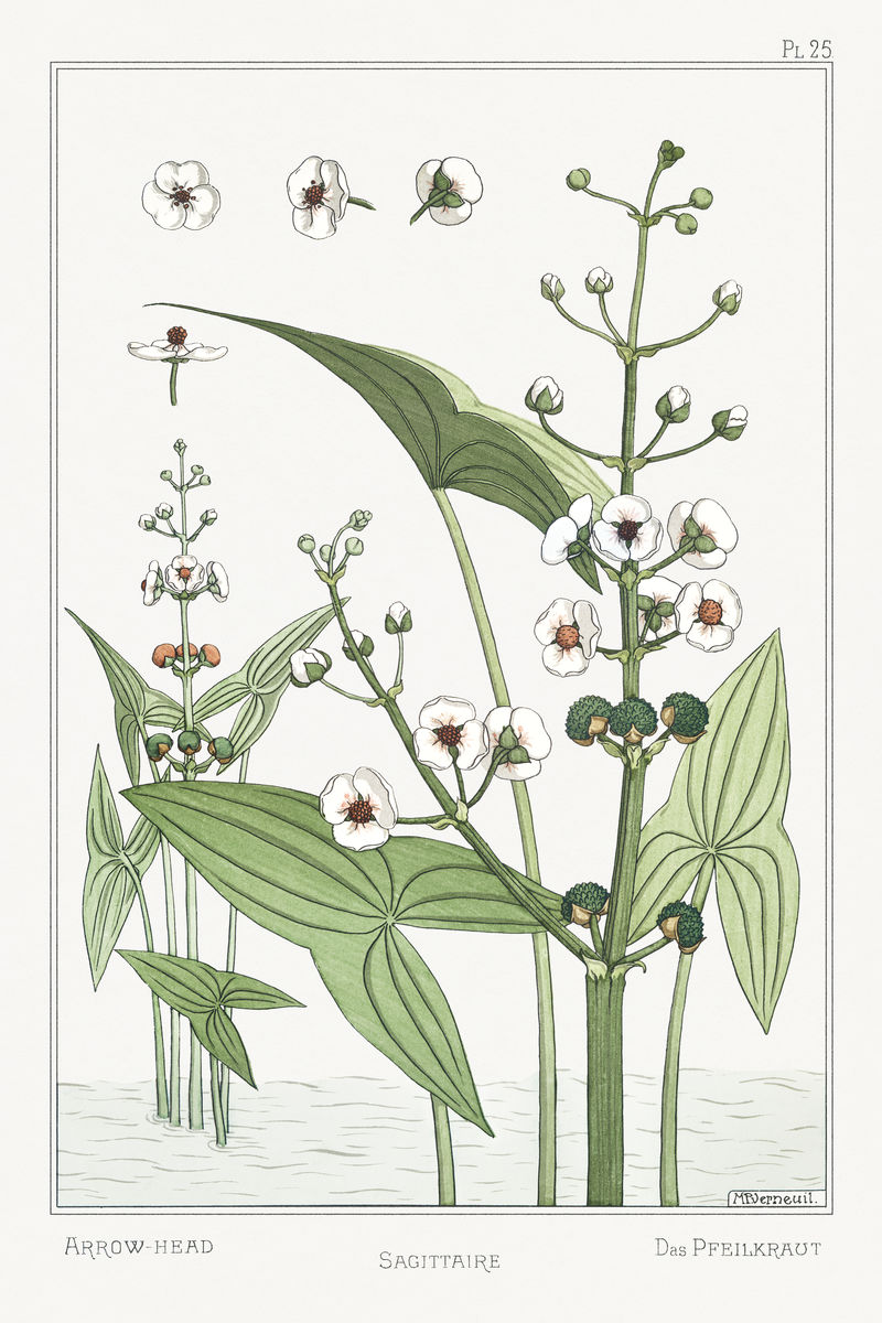 复古箭头花零件设计元素