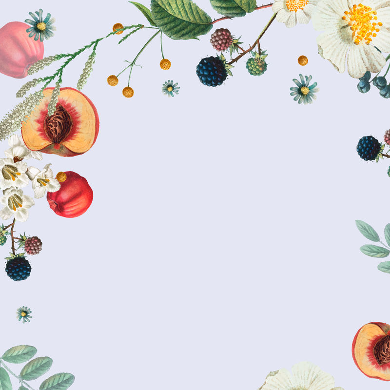 夏季植物模式的空白帧向量