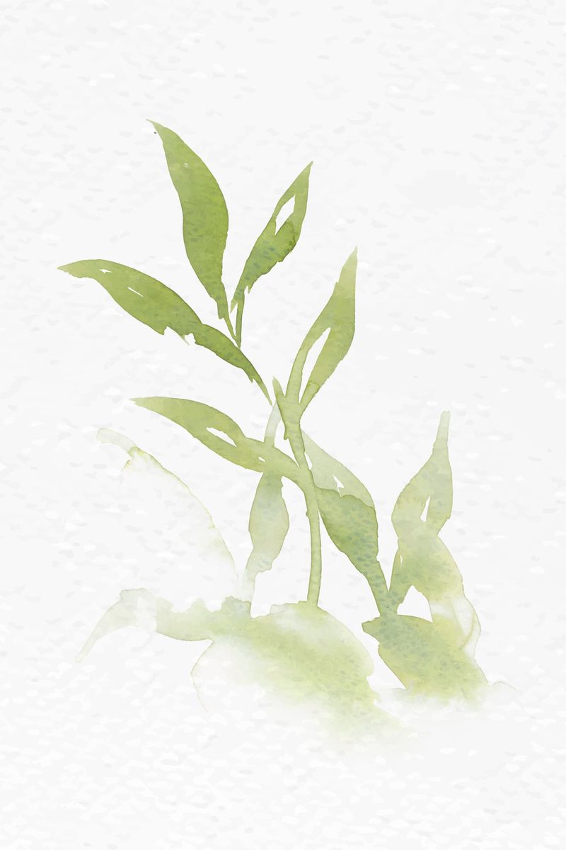 水彩叶绿色花卉矢量秋季季节图案