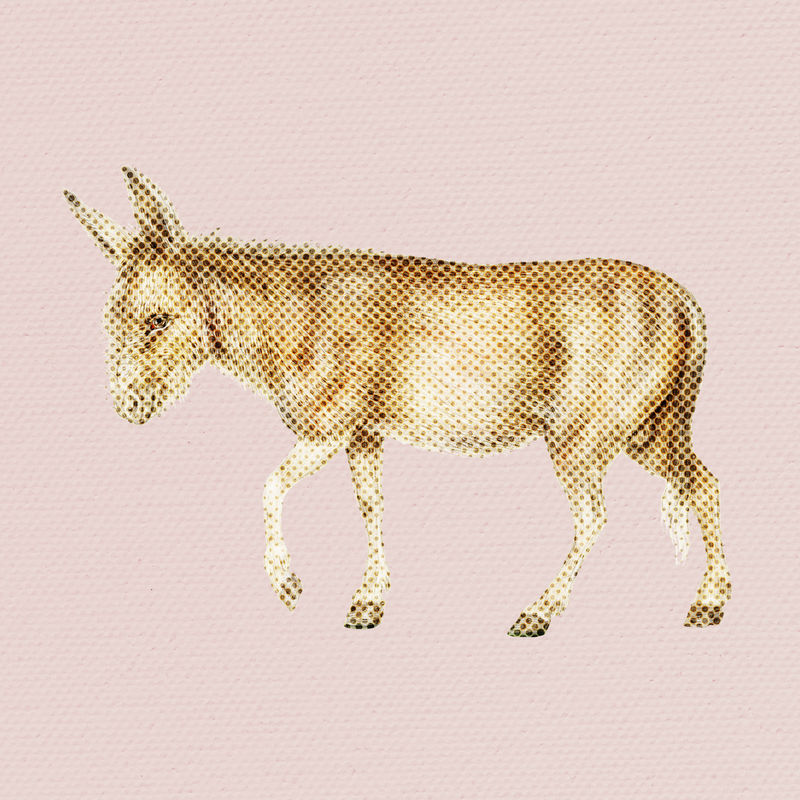 手绘半色调样式插图