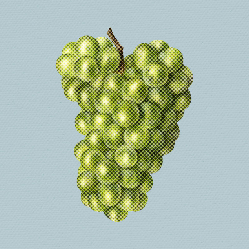 手绘葡萄半色调风格插图