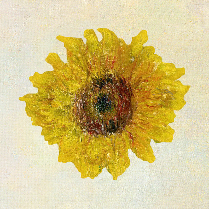 《向日葵》改编自克劳德·莫奈的艺术作品