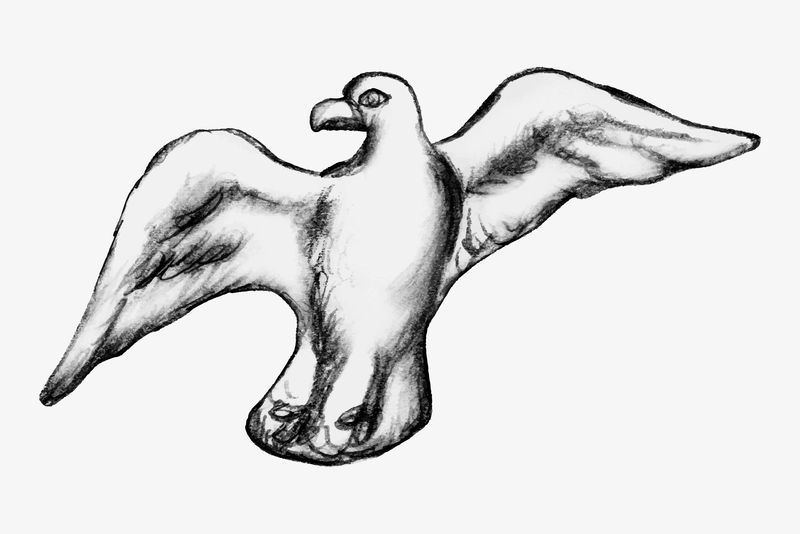 海鸥矢量复古插图由Leo Gest的艺术品混合而成