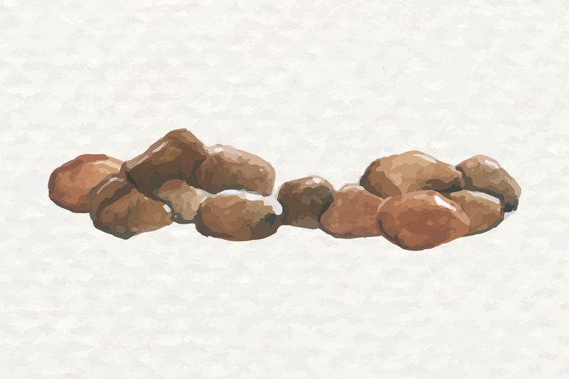 美丽的水彩花盆