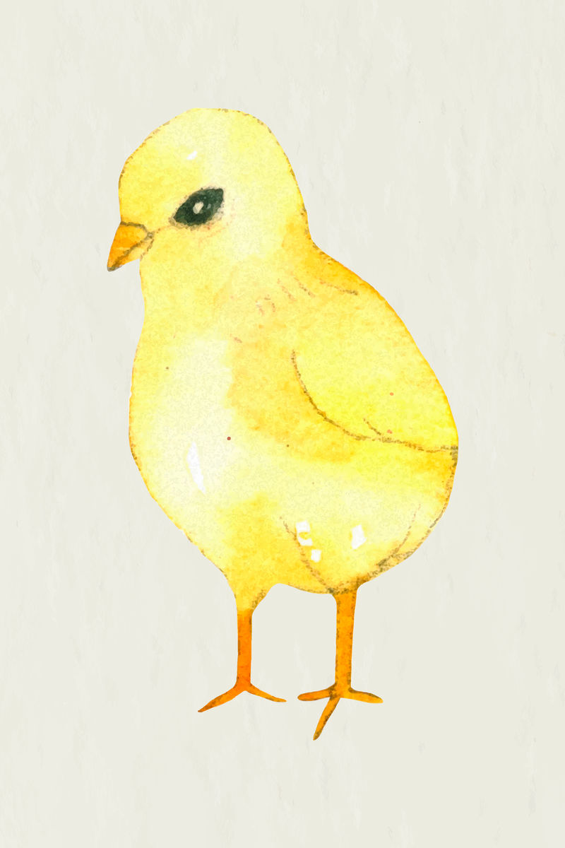 复活节鸟设计元素矢量可爱水彩插图