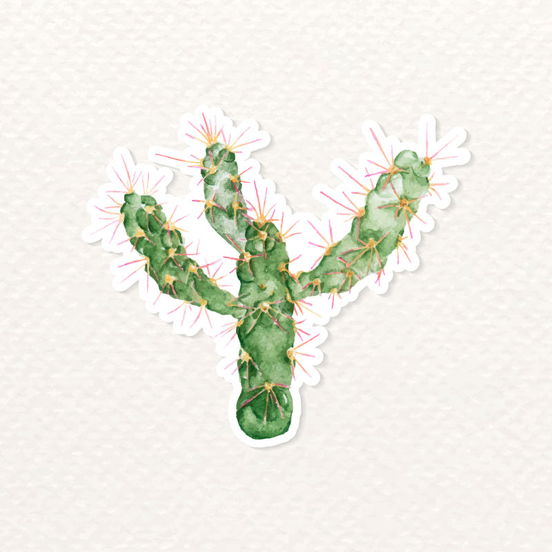 七叶大戟手绘贴纸载体