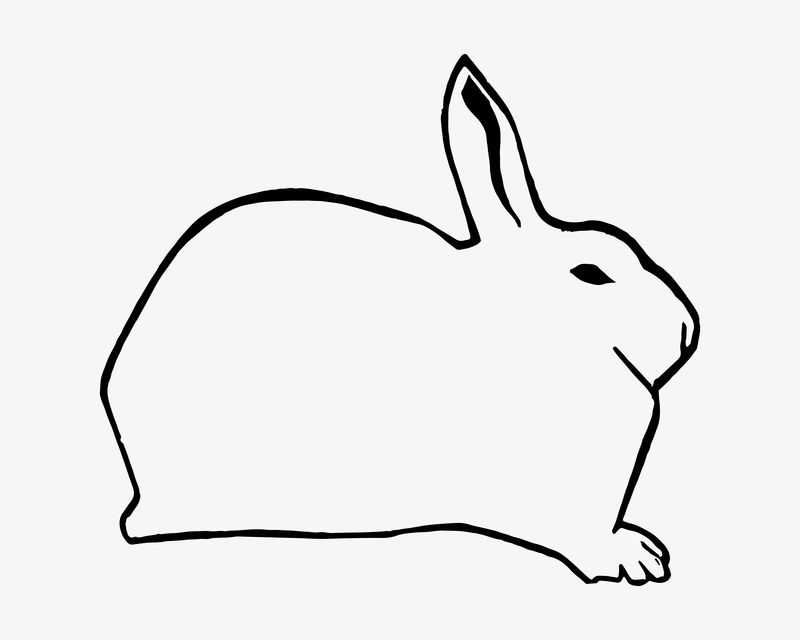 复古野兔动物艺术印刷载体由Samuel Jessuron de Mesquita的艺术作品混合而成