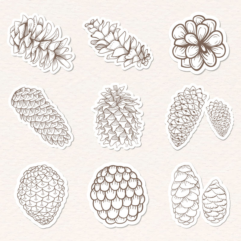 带有白色边界向量集的针叶树圆锥体贴纸