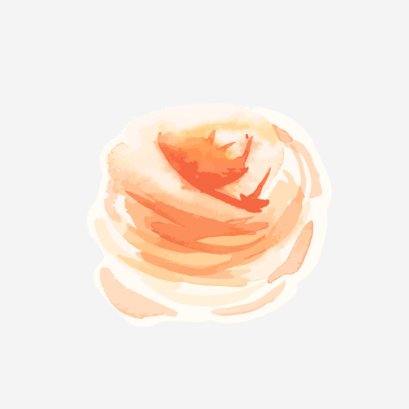 经典橙色玫瑰矢量手绘水彩花