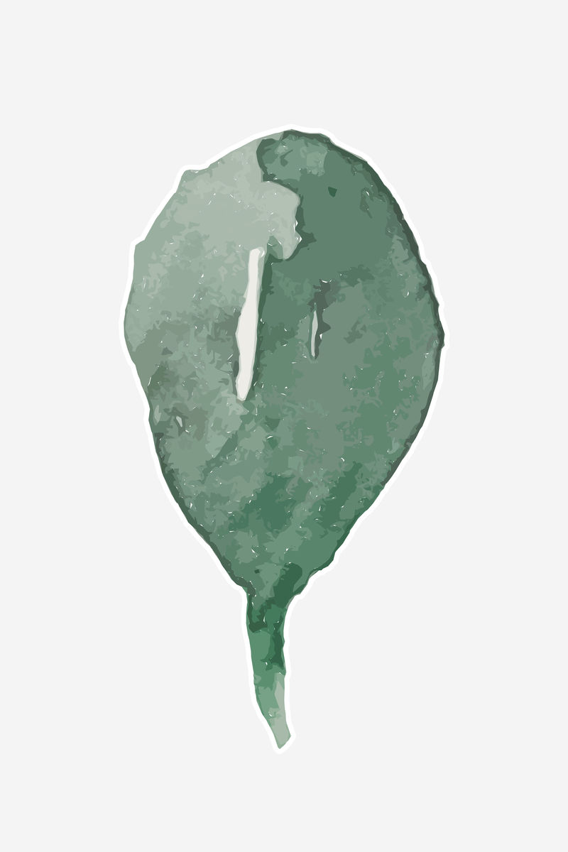 水彩绿叶矢量手绘贴纸元素