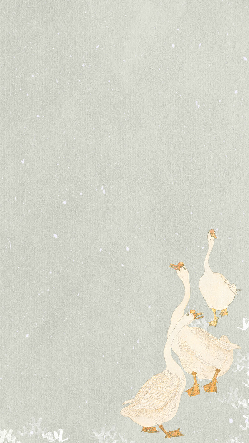三只鹅手机壁纸插图