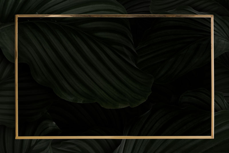 深色叶子以铜框为背景