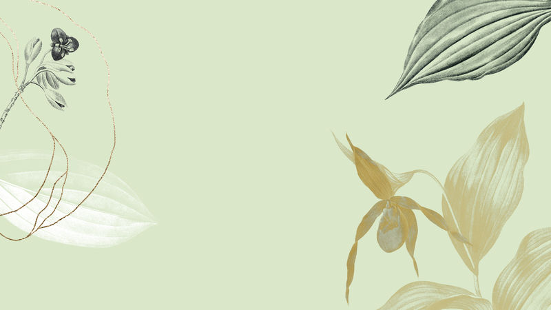 热带树叶背景插图