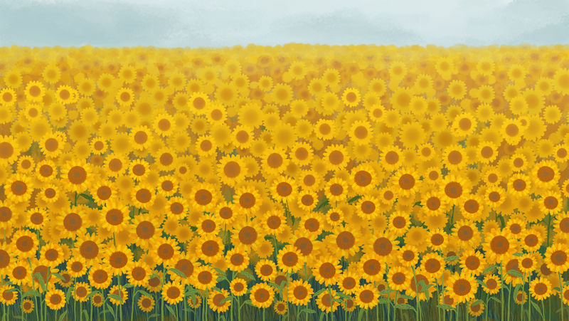 向日葵花园背景插图