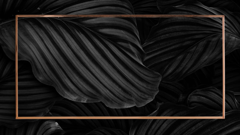 暗叶旗帜背景上的青铜框架