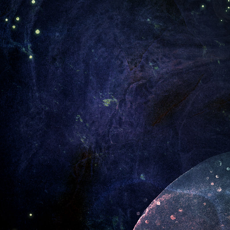 摘要新孟菲斯社会背景插图