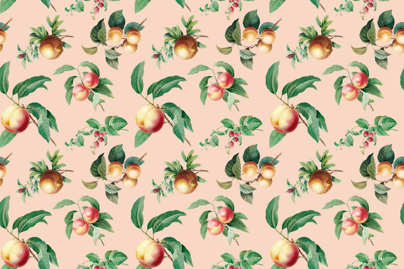 手绘水果壁纸插图