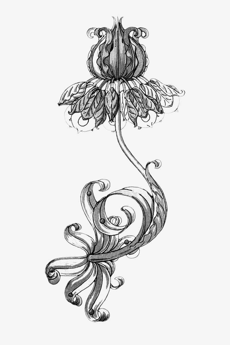 黑白皇冠御花设计元素