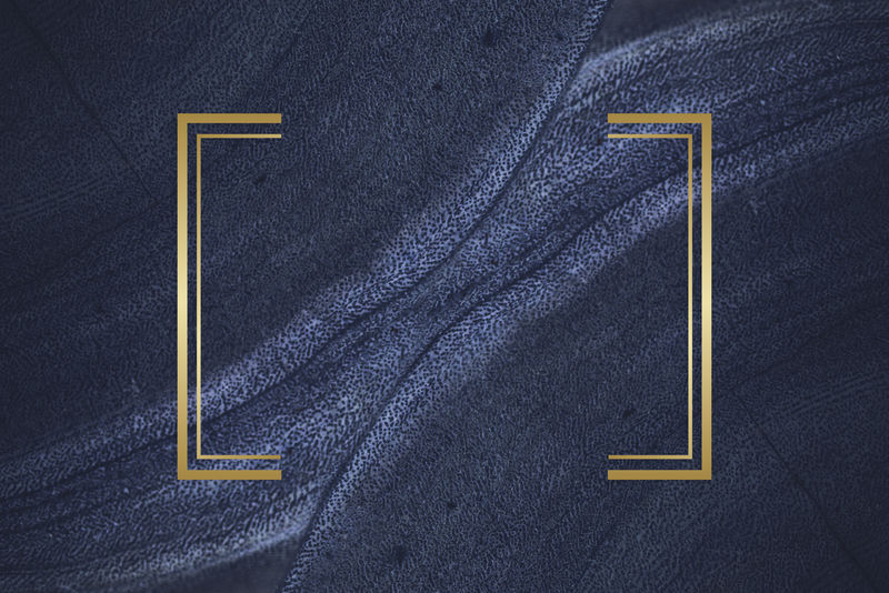 蓝色纹理石头上的金色框架