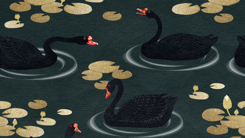 深绿色背景插图上有金色荷花图案的游泳黑雁