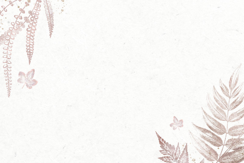 蕨类植物在灰白色背景设计资源上留下框架