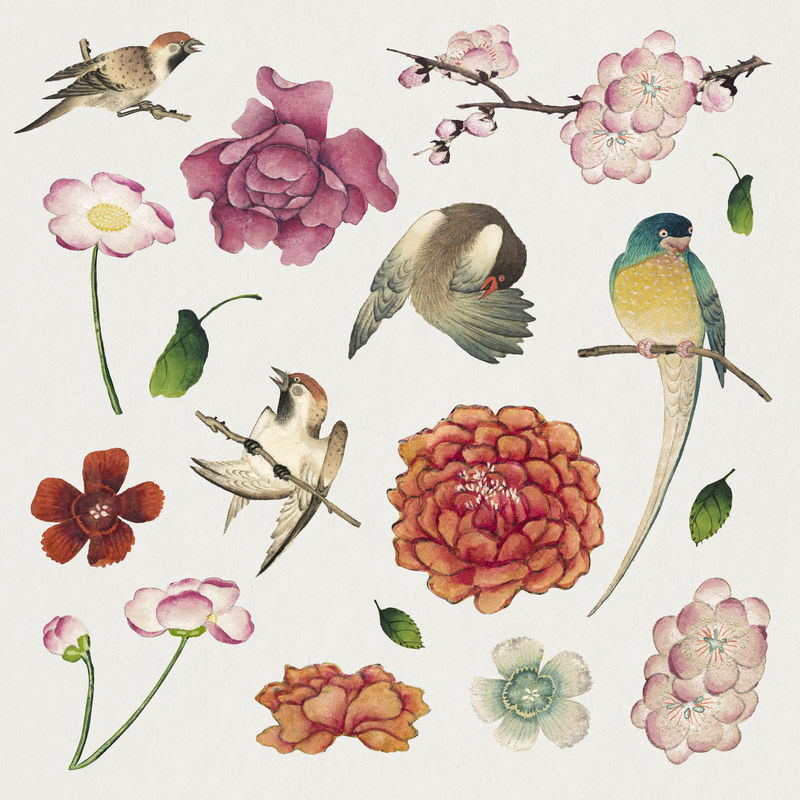 中国花鸟集张若爱艺术作品混音