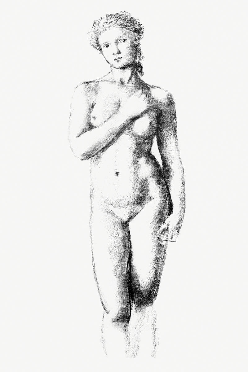 女人露胸复古情色艺术