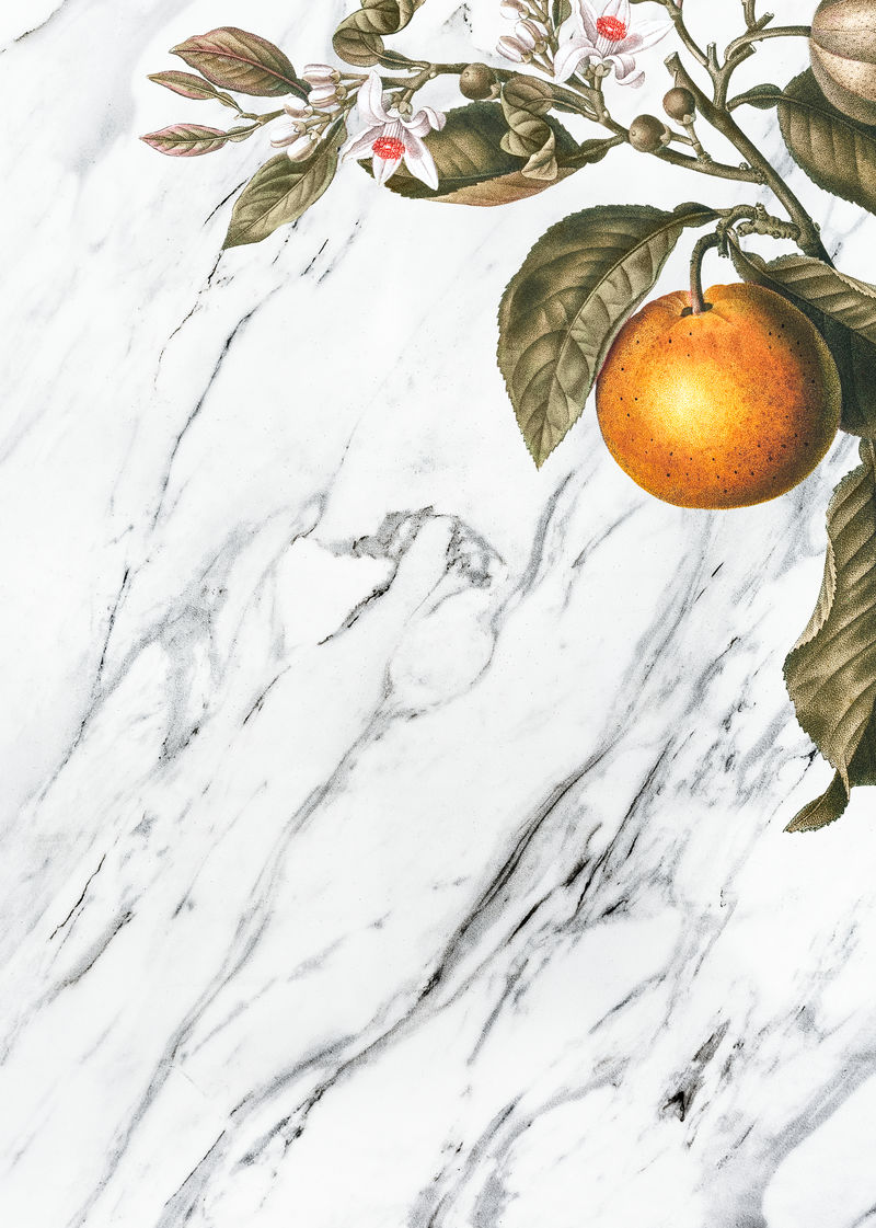 大理石纹理向量上的热带橙色