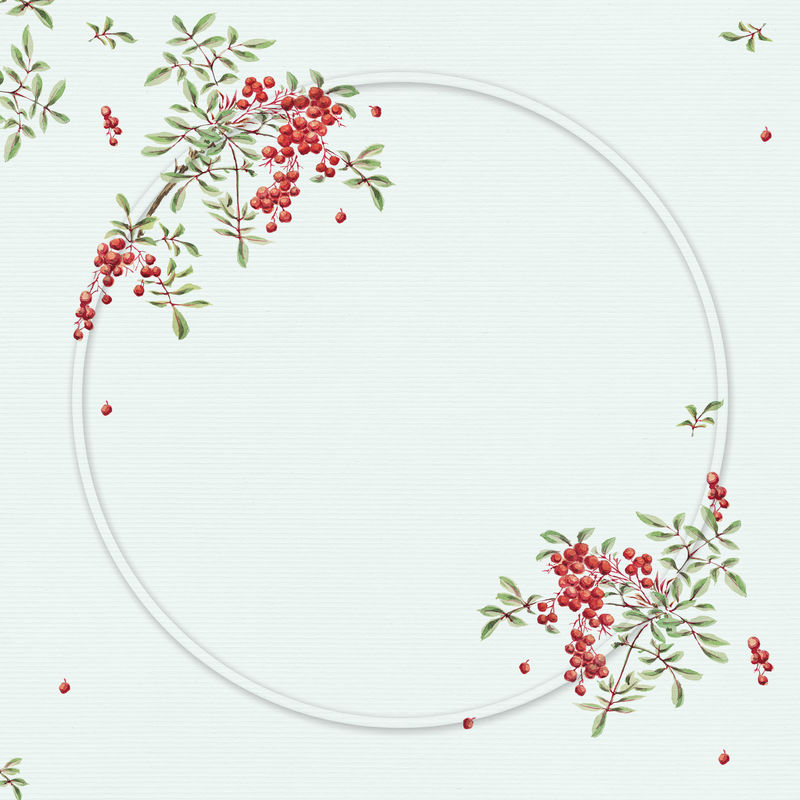 复古日本框架珊瑚浆果艺术印花由Megata Morikaga的艺术作品混合而成