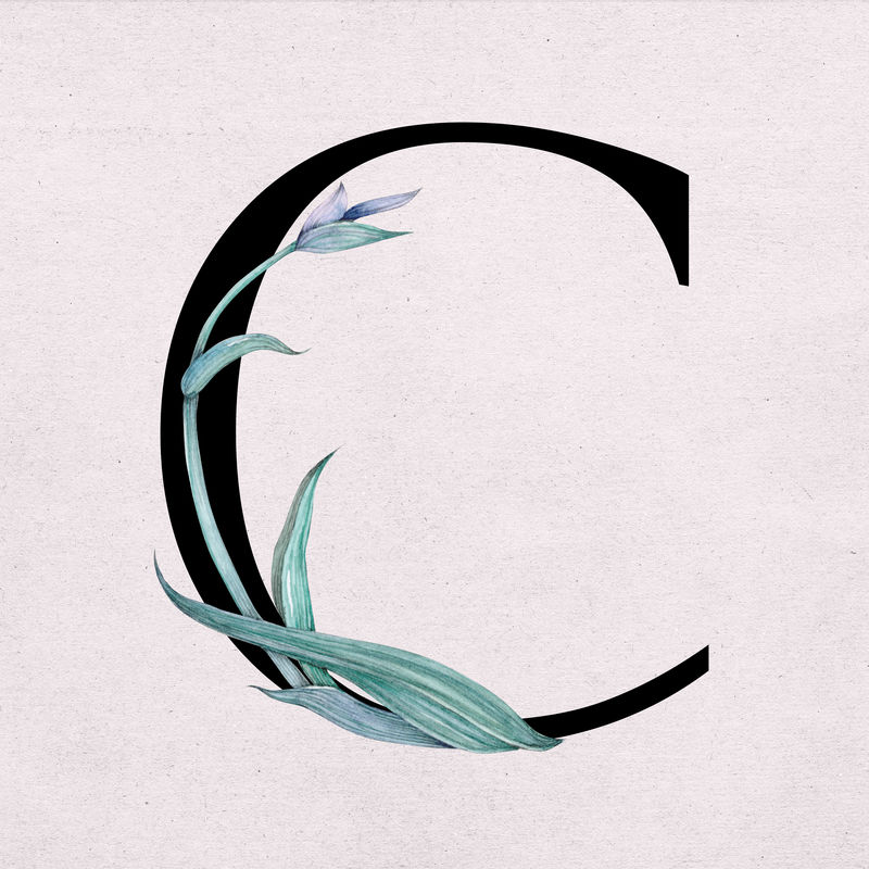 字体c复古字母花卉排版