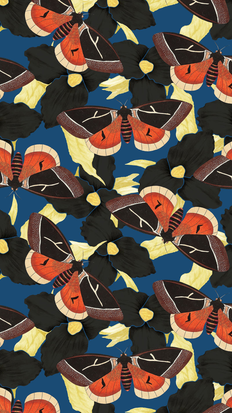 花卉和蝴蝶抽象图案博物学家的复古混音';乔治·肖的《美国杂集》