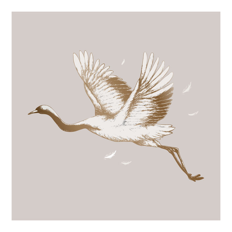 飞鹤复古墙画印刷海报设计混搭原创艺术作品