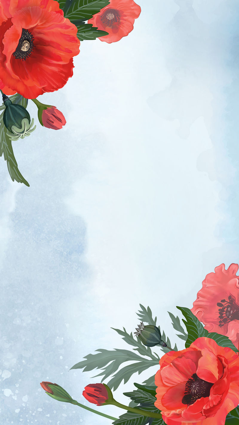 带罂粟花边的春季背景