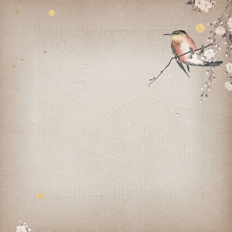 樱花枝上的鸣鸟背景插图