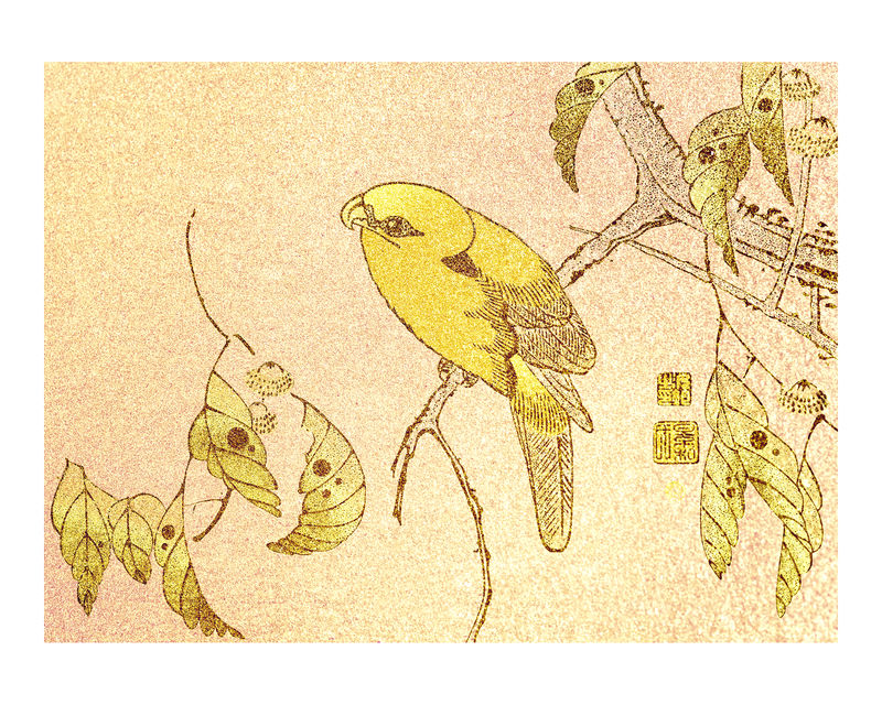 树枝上闪着微光的鹦鹉复古壁画印刷海报设计由伊藤·雅库库（Ito Jakuchu）原创作品混合而成