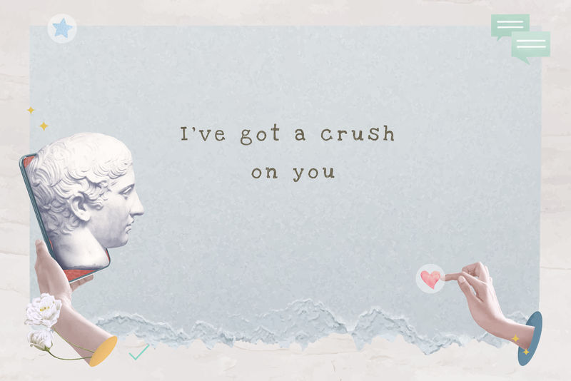 审美爱引用社交媒体旗帜