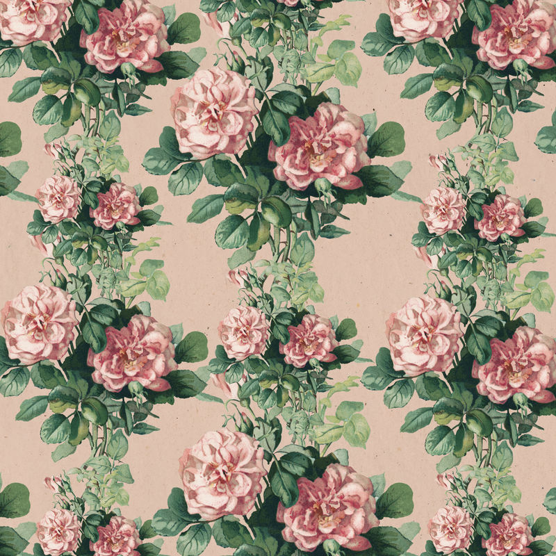 复古粉红玫瑰花卉图案插图由L