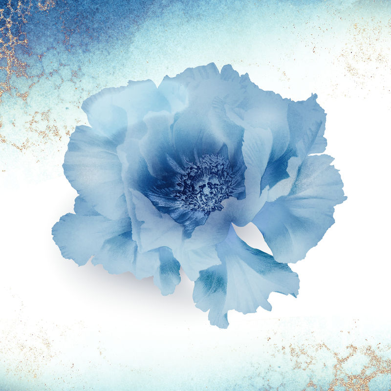 蓝色牡丹复古插画艺术作品原版摄影的混音
