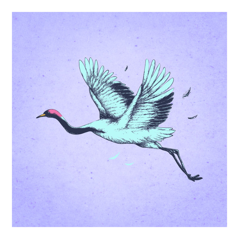 Flying blue crane复古墙面艺术印刷海报设计混搭原创作品