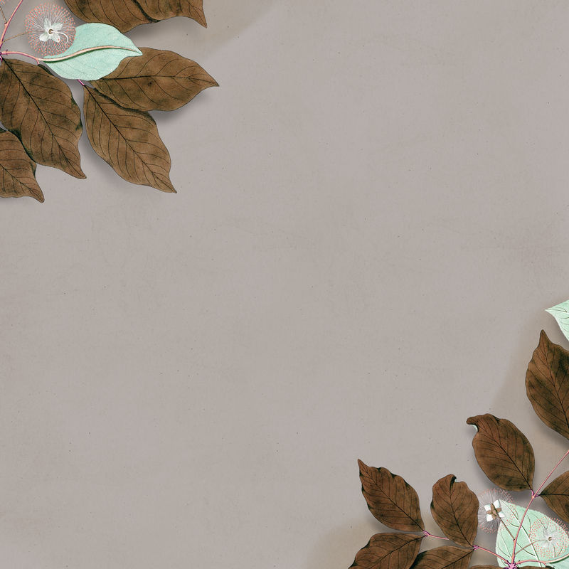 干冬叶装饰空白框