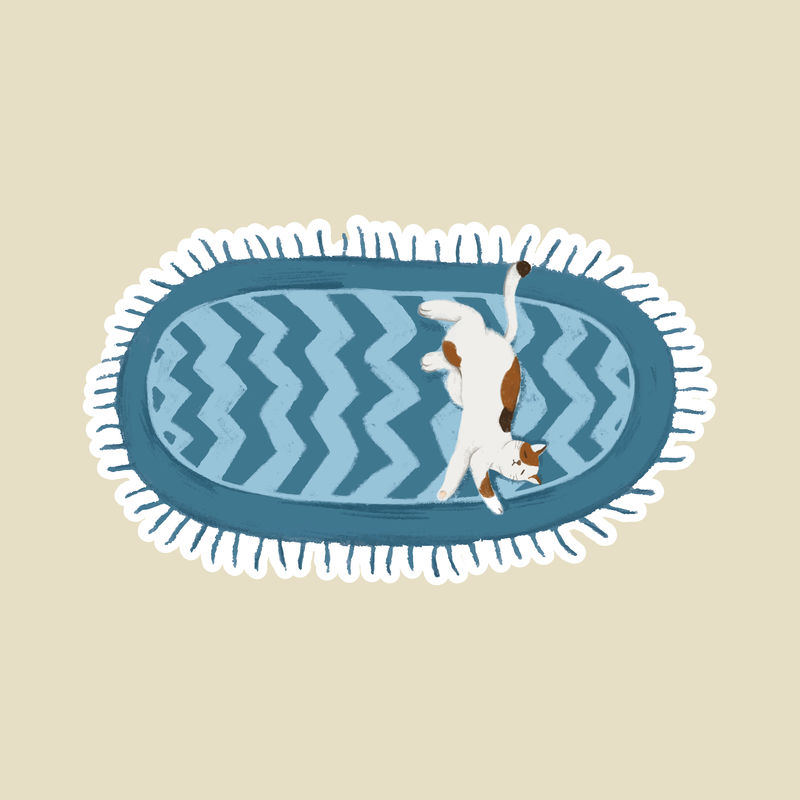 睡在垫子贴纸上的白猫宠物