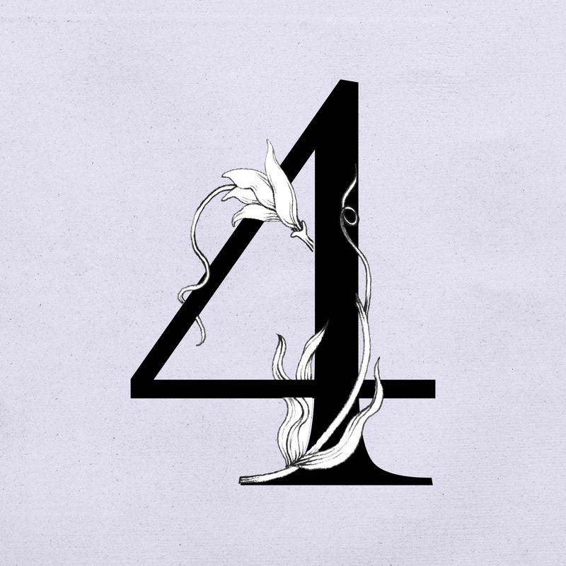 第4号字体植物学排版