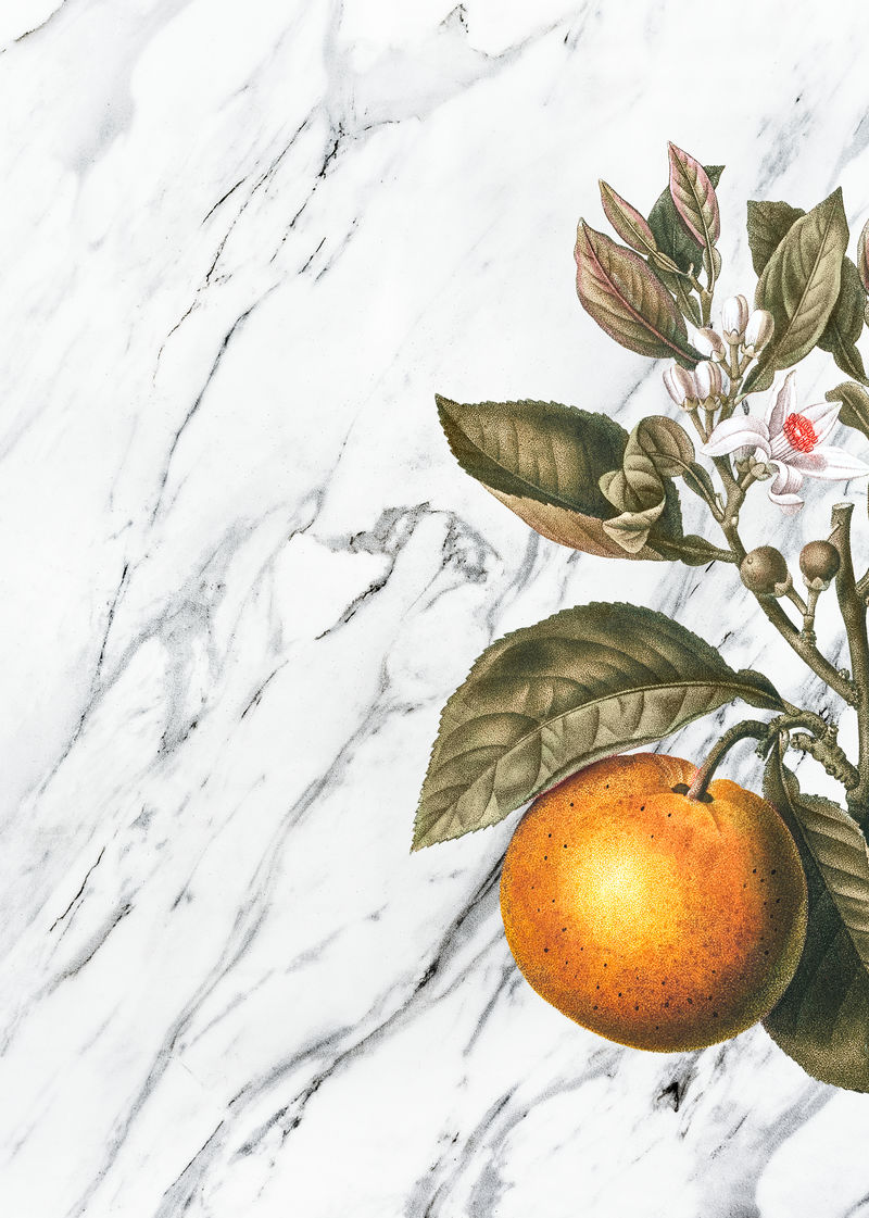 大理石纹理向量上的热带橙色