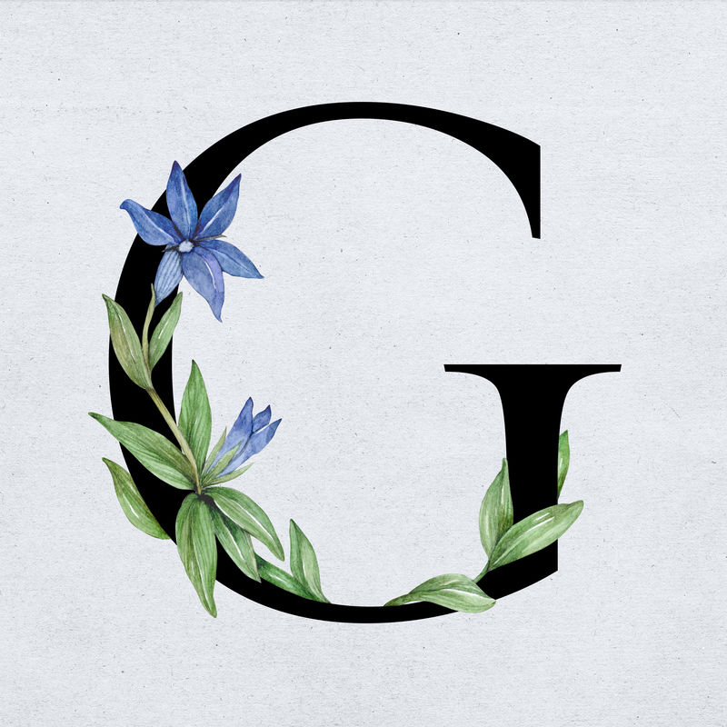 字体g复古字母花卉排版