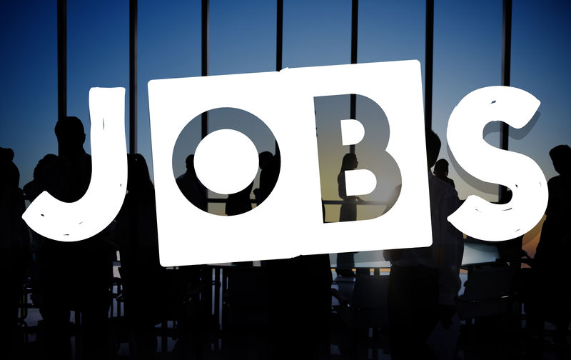 职业职业职业概念