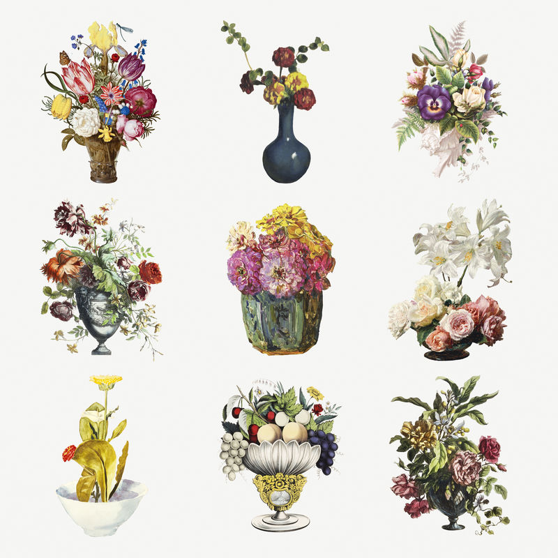 复古花卉植物插图套装
