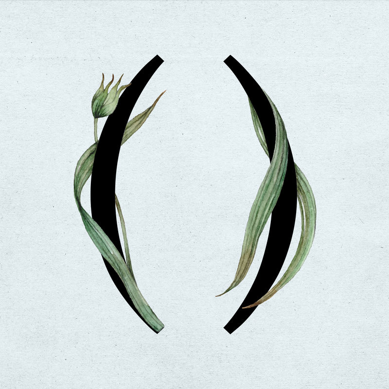 括号符号花卉装饰排版