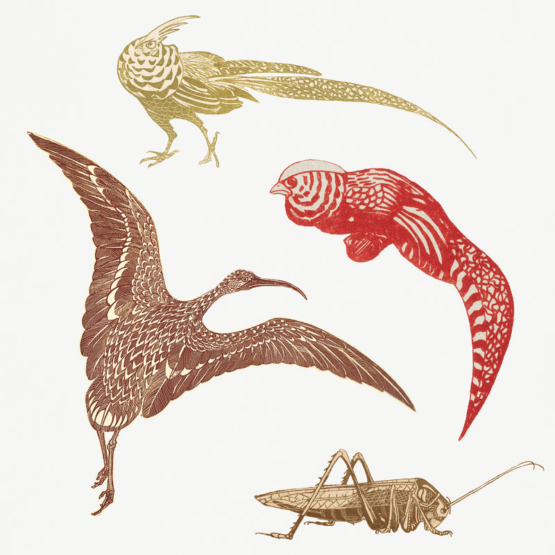 古董动物艺术印刷品由西奥·范·霍伊泰玛（Theo van Hoytema）的艺术作品混合而成